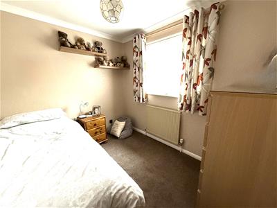 Picture 15